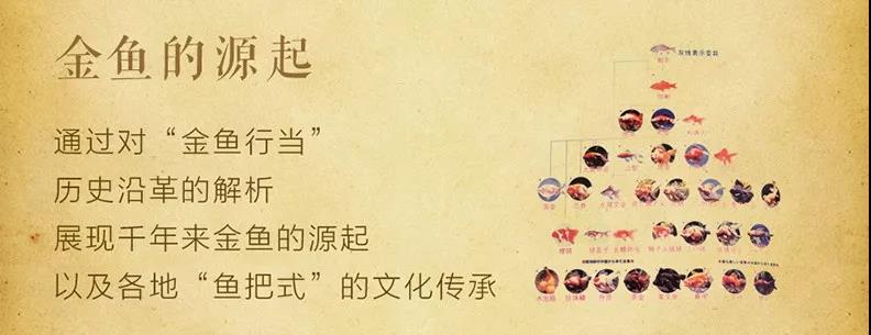 《鱼把式》专著即将开始连载啦！