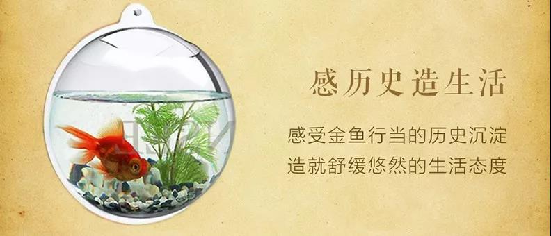 《鱼把式》专著即将开始连载啦！