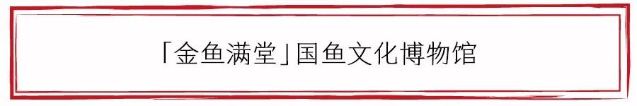 养金鱼才算有文化？欢迎走进「金鱼满堂」一探究竟