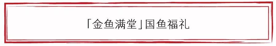 养金鱼才算有文化？欢迎走进「金鱼满堂」一探究竟