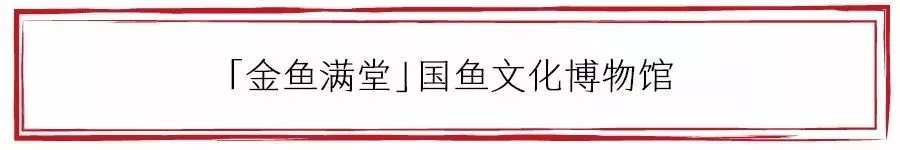 世界金鱼大赛即将启幕！「金鱼满堂」鼎力支持，全程深度报导！