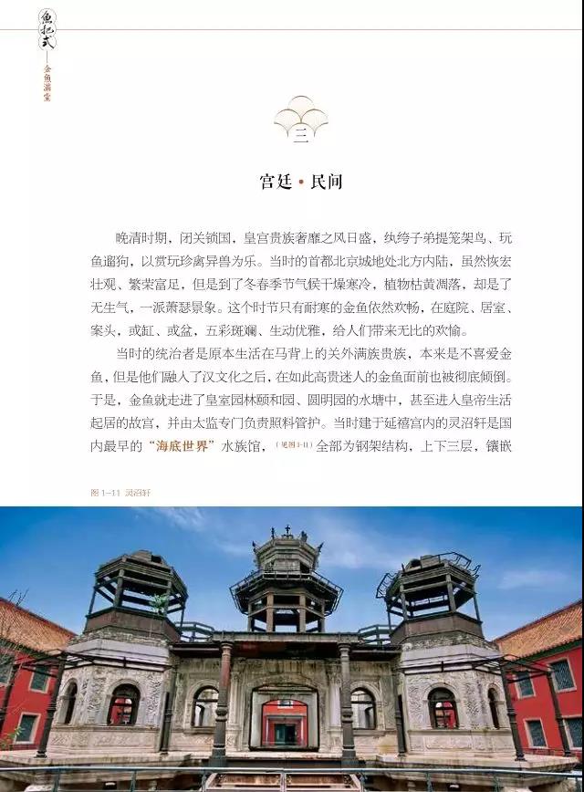 这部金鱼界的百科全书为何如此火爆？再版经典隆重面世，两大亮点惊艳呈现！