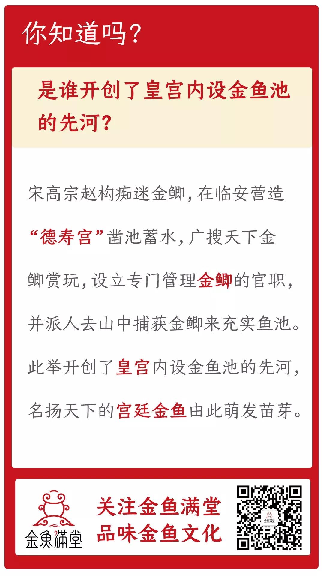 金鱼轶事丨是谁竟然敢在皇宫内凿池养鱼？