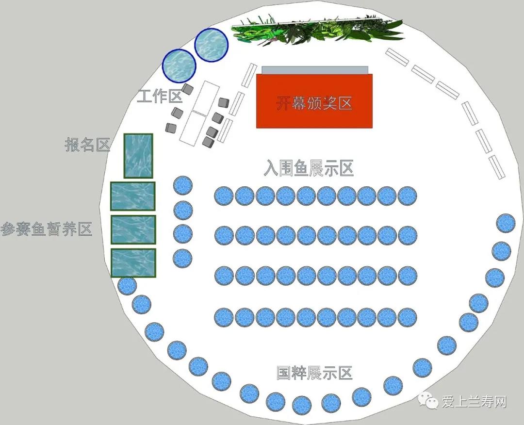 兰寿2020全国大赛暨百花齐放金鱼展即将开幕梦幻！