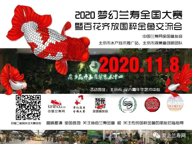 兰寿2020全国大赛暨百花齐放金鱼展即将开幕梦幻！